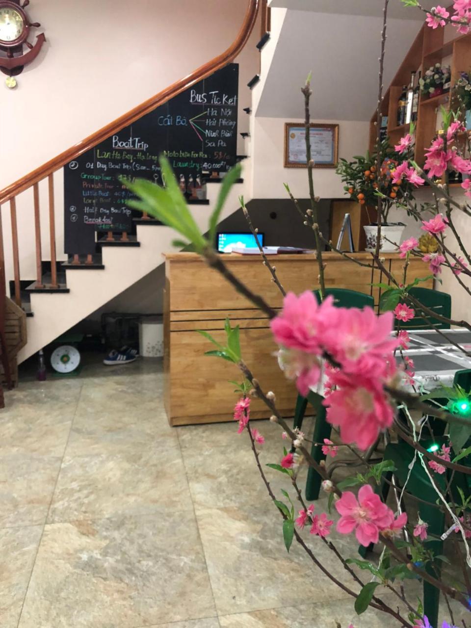 Nhatmaihostel Dong Khe Sau 外观 照片